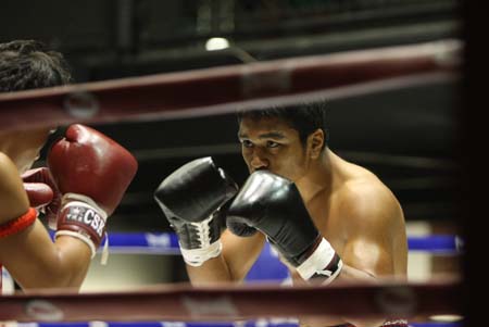 网---上海首家泰拳馆--黑虎英雄馆开馆迎客