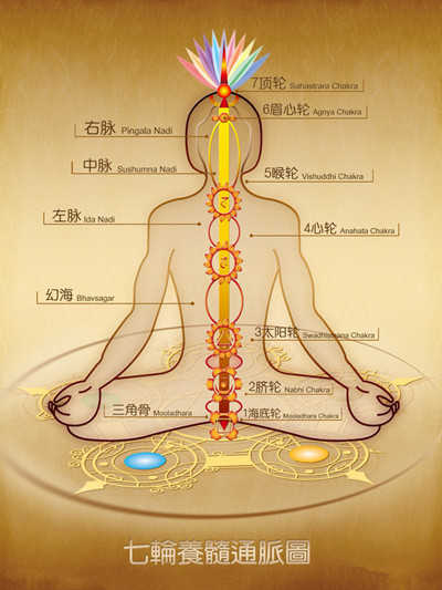 瑜伽的生理学 --- 七轮和腺体