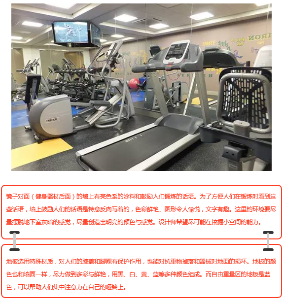 chinafit