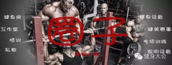 chinafit